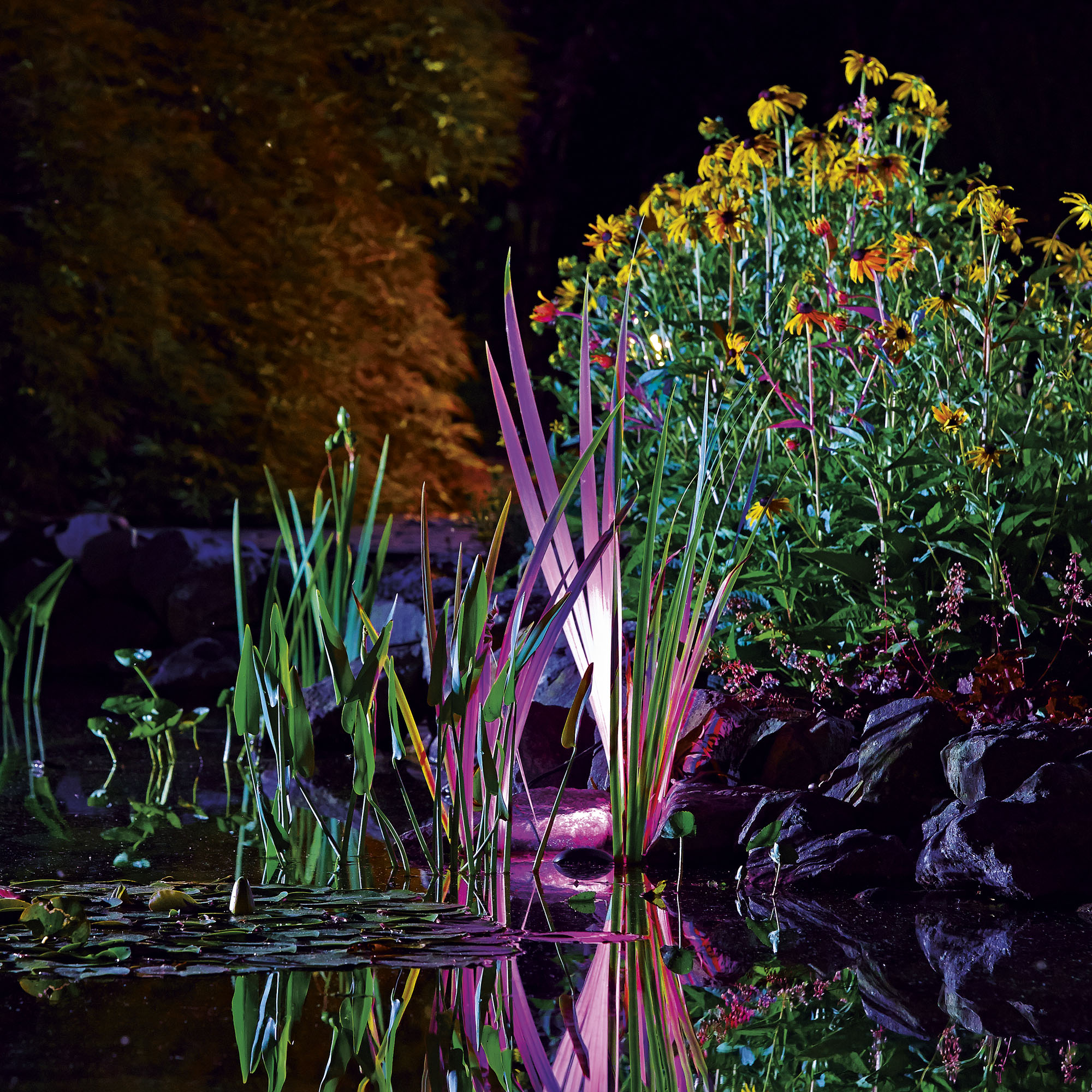 Set Gardens Water 3 LED | ProfiLux Garden Atlantic RGB